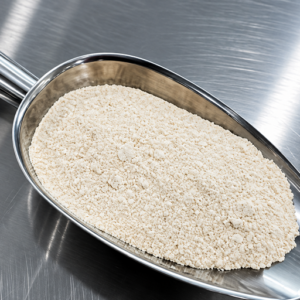Flourzyme N503D